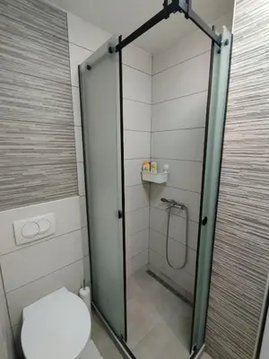 a bathroom with a shower with a toilet at VauDa White apartman in Belgrade