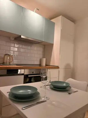 a kitchen with two green plates and glasses on a counter at Studio Slaviya in Belgrade