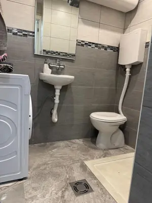 a bathroom with a toilet and a sink at Panajota Apartment in city centre in Belgrade