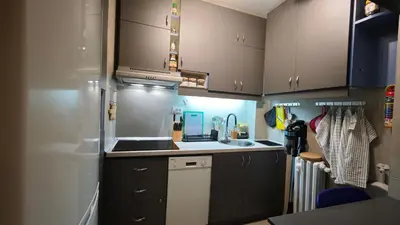 a small kitchen with gray cabinets and a sink at House of Mirrors in Belgrade