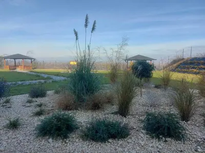 a garden with grass and plants in a field at Danube Riverfront 8 in Belgrade