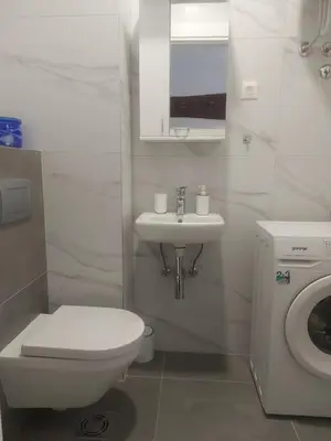 a bathroom with a toilet and a sink and a washing machine at Danube Riverfront 8 in Belgrade