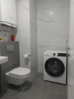 a bathroom with a washing machine and a toilet at Danube View 11 in Zemun