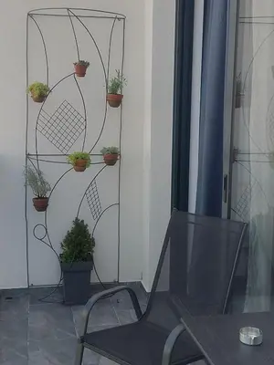 a black chair with potted plants on a shelf at Danube View 11 in Zemun