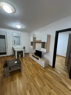 a large living room with a table and a tv at D2Apartman 1 in Belgrade