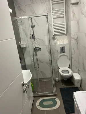 a bathroom with a shower and a toilet at Apartment Sanja in Belgrade
