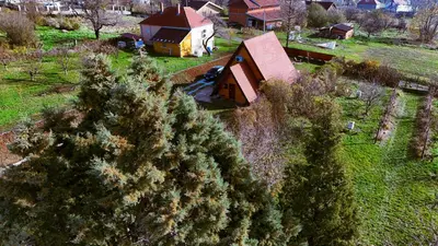 an aerial view of a house and some trees at Kosmaj Escape in Koraćica