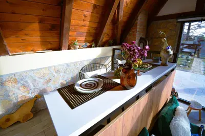 a kitchen counter with a vase of flowers on it at Kosmaj Escape in Koraćica