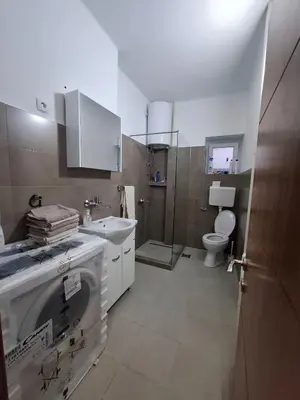 a bathroom with a sink and a toilet at Paviljoni apartman in Tošin Bunar