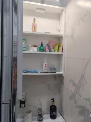 a bathroom with a shelf above a sink at Kalemegdan 2 in Belgrade