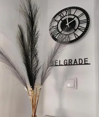 a clock hanging on a wall next to a plant at Kalemegdan 2 in Belgrade