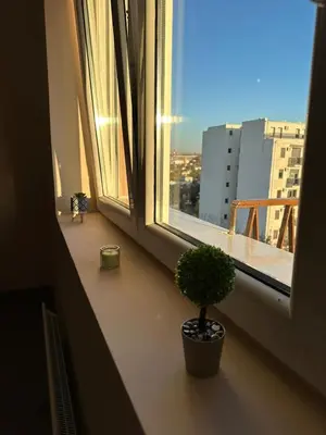 a window with two potted plants sitting on a window sill at Vojvoda Apartment in Belgrade