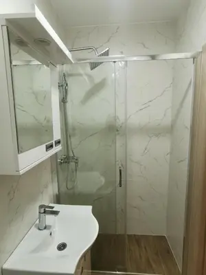 a bathroom with a shower and a sink and a mirror at Vojvoda Apartment in Belgrade
