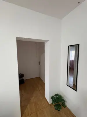 an empty room with a mirror and a plant at Apartman Tijana in Ruma