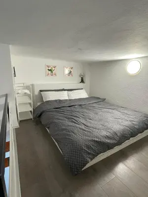 a bedroom with a large bed in a room at Princip Apartman in Belgrade