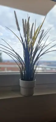 a potted plant sitting on a window sill at ETA Apartments in Belgrade