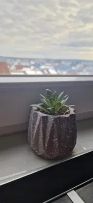 a plant in a pot sitting on a window sill at ETA Apartments in Belgrade