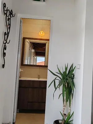 a bathroom with a sink and a mirror at Vinogradi Zmajevački in Mladenovac