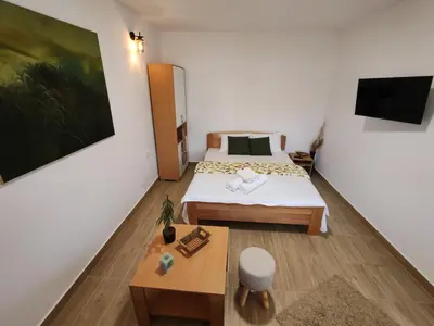 a small room with a bed and a tv at Vinogradi Zmajevački in Mladenovac