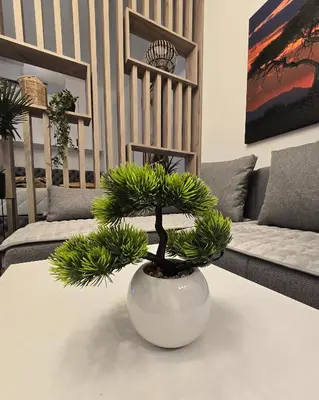 a plant sitting on a table in a living room at White Queen in Bukorovac