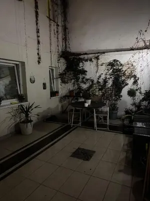 a room with a table and potted plants on the wall at BelgradeCityVibe in Belgrade