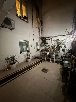 a room with potted plants and a table in it at BelgradeCityVibe in Belgrade