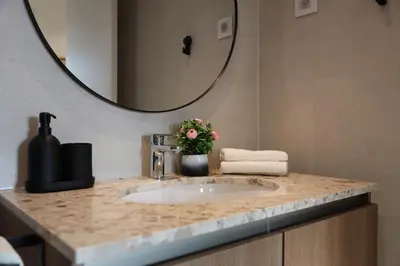 a bathroom with a sink and a mirror at BW Premium Apartment Wolf-free parking in Belgrade