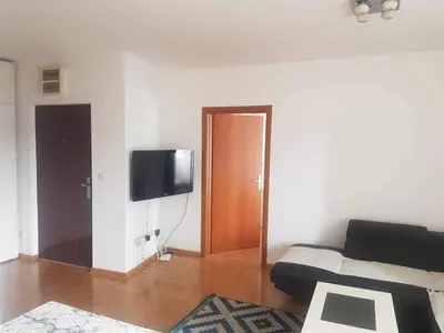 a living room with a couch and a flat screen tv at Botanical Garden in Belgrade