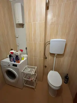 a bathroom with a toilet and a washing machine at Botanical Garden in Belgrade