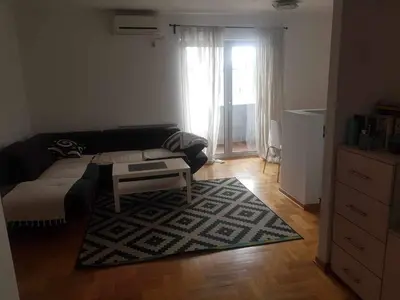 a living room with a couch and a rug at Botanical Garden in Belgrade