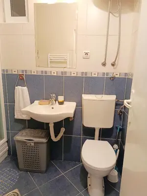 a bathroom with a toilet and a sink at Urban Garden Apartments - Sunflower 2 in Belgrade