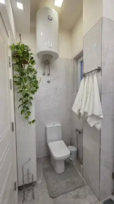 a bathroom with a toilet and a potted plant at Vracar Luxury Apartment in Belgrade