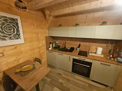 a kitchen with wooden walls and a wooden table at Kuće za odmor Banstolija - Fruška Gora in Čortanovci