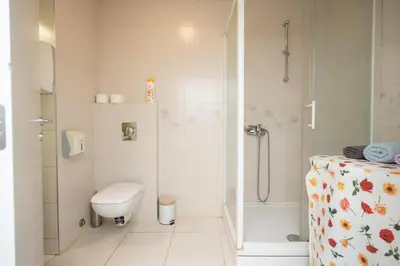 a white bathroom with a toilet and a shower at Apartment Moonstone 4 in Belgrade