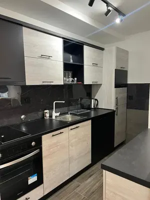 a kitchen with a sink and black counter top at Tesla Lux Apartman in Belgrade