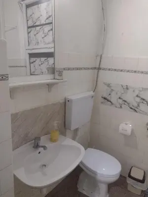 a bathroom with a white toilet and a sink at Ena's apartman in Belgrade