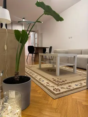 a living room with a table and a potted plant at Jana's in Belgrade
