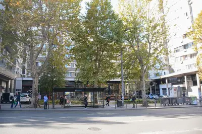 a city street with trees and people walking on the street at LUX apartment 15 min walk to Knez Mihajlova in Belgrade