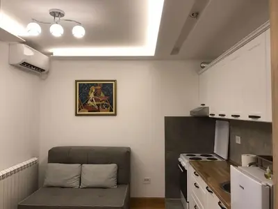 a kitchen with a couch in a small room at Visnjica in Belgrade