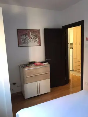 a room with a small cabinet and a black door at Visnjica in Belgrade