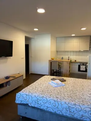 Gallery image of Apartment fifteen in Belgrade