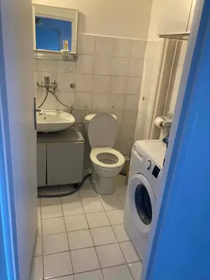 a bathroom with a toilet and a sink and a washing machine at VukTas in Belgrade