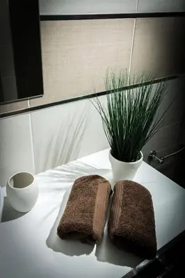 two towels sitting on a table with a plant at Apartment Admiral in Belgrade