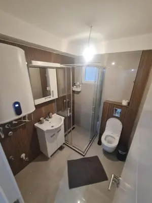 a bathroom with a shower and a toilet and a sink at Marash 3 in Belgrade