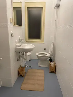 a bathroom with a sink toilet and a mirror at Nomad and Home apartment in Belgrade