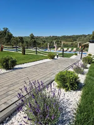 a garden with purple flowers and a wooden walkway at Casa Toleni in Ba°evac