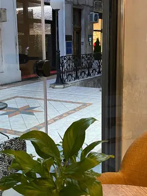 a plant sitting on a table in front of a building at Verdi Apartment in Belgrade