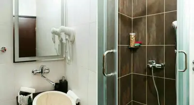 a bathroom with a shower with a toilet and a mirror at Verdi Apartment in Belgrade