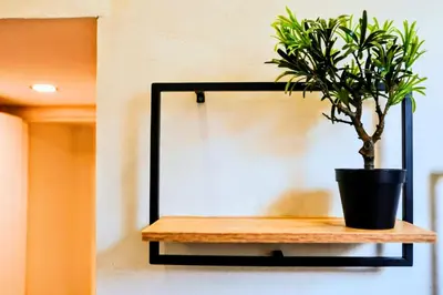 a plant on a wooden shelf with a mirror at Old Port Riverside Lofts in City Center in Belgrade
