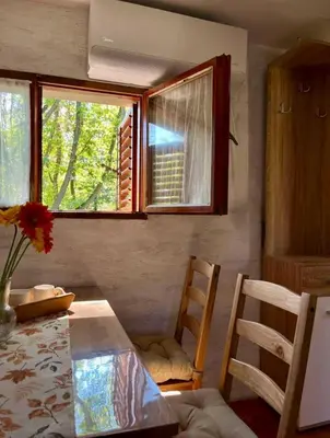a kitchen with a table and chairs and a window at Šumarak Weekend House in Arandjelovac